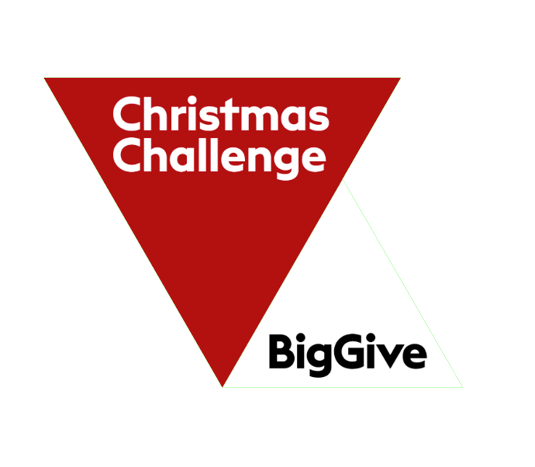 Big Give Christmas Challenge logo