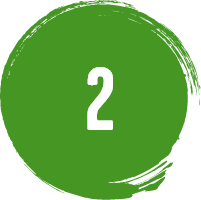 Teo in a green circle