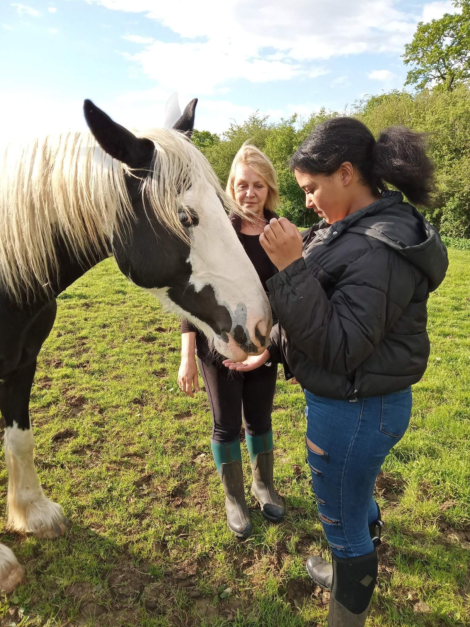 A mentor and young person feeding a horse together in a field