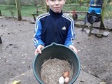 Boy holding bucket with eggs in