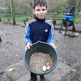 Boy holding bucket with eggs in